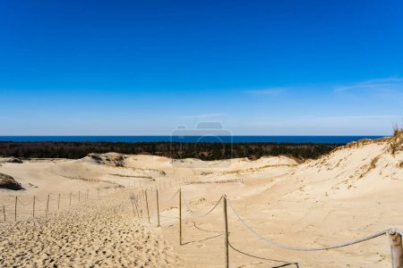 Foto de Las dunas grises, o las dunas muertas son colinas arenosas con un poco de manchas verdes en el lado lituano de la saliva curónica. - Imagen libre de derechos
