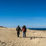 A couple of travelers with a backpack, hand in hand, walks along the sandy Dead Dunes, on the Curonian Spit, on the shore of the Baltic Sea.