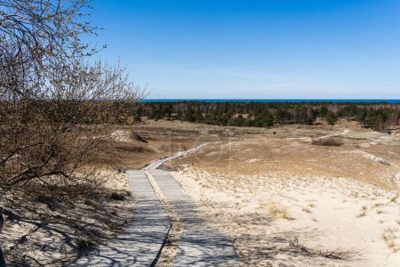 Téléchargez les photos : Sentier pédestre en bois sur les dunes mortes, ou dunes grises, flèche de Courlande, Neringa, Lituanie. - en image libre de droit