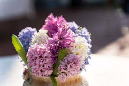 Shallow depth of field on a bouquet of hyacinths of different colors in a porcelain vase on the table, selective focus.