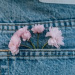 pink flowers in the pocket of blue jeans, close-up.
