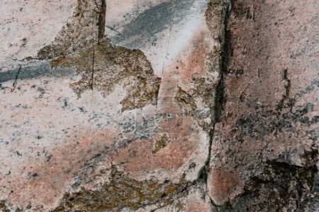 Photo for Close-up of cobblestone texture with pink, gray and greenish shades. - Royalty Free Image