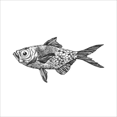 Ilustración de Hermosa ilustración de pescado dibujado a mano, dibujo del océano - Imagen libre de derechos
