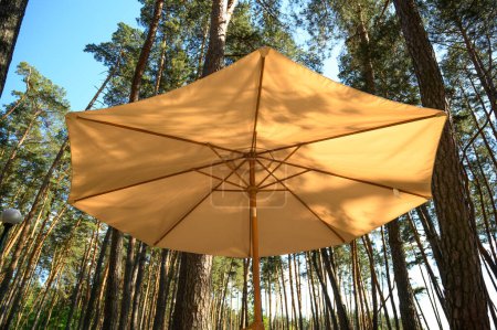 Large yellow sun umbrella