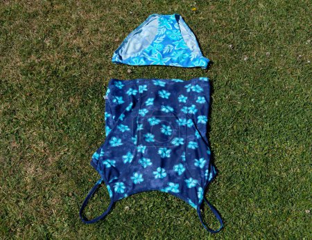 Foto de Una suite de natación de dos piezas se ha puesto en la hierba para secarse después de nadar - Imagen libre de derechos