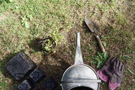 Mirando hacia abajo en una regadera de metal, una paleta que acaba de ser utilizada, un par de guantes, ollas vacías y una planta aún por plantar.