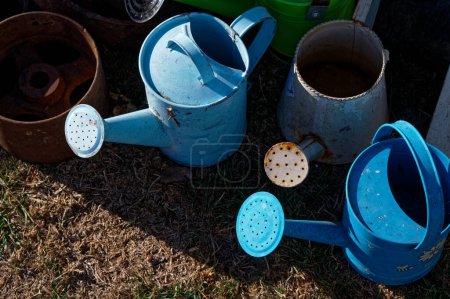 Different coloured metal watering cans are gathered together