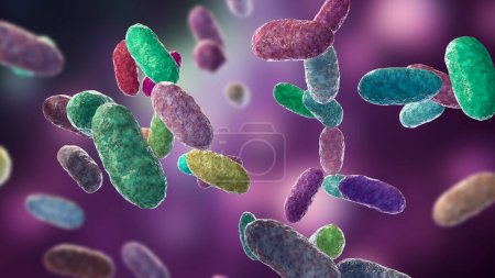 Photo for Bacteria Aggregatibacter, 3D illustration. Aggregatibacter aphrophilus and A. actinomycetemcomitans, Gram-negative bacteria, part of the normal flora of the mouth and throat, also cause endocarditis - Royalty Free Image