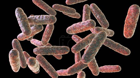 Foto de Bacterias Eikenella corroe, ilustración 3D. Eikenella es una biota normal de la cavidad oral y el intestino, causa infecciones después de las picaduras humanas, y también periodontitis, meningitis y otras enfermedades - Imagen libre de derechos