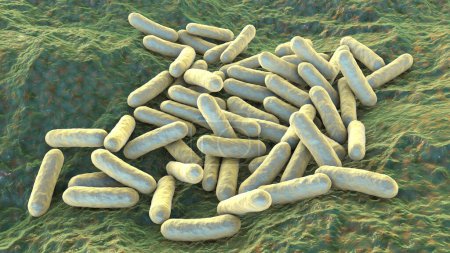 Photo for Morganella morganii bacteria, 3D illustration. Gram-negative bacteria that inhabit human intestine and cause postoperative and nosocomial infections, urinary tract infections - Royalty Free Image