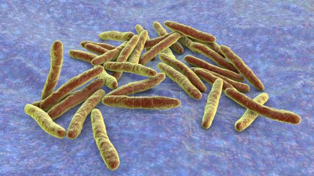 Bacterias Mycobacterium tuberculosis, el agente causal de la tuberculosis, ilustración 3D, se puede utilizar para M. leprae, complejo de M. avium y otras micobacterias
