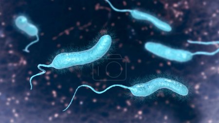 Foto de Vibrio mimicus bacteria, ilustración 3D. Especie de Vibrio que imita a V. cholerae y causa gastroenteritis transmitida por peces, ostras crudas, huevos de tortuga, gambas y otros productos del mar - Imagen libre de derechos