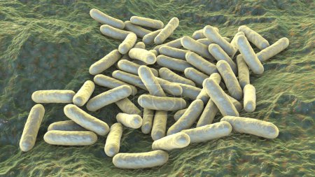 Photo for Morganella morganii bacteria, 3D illustration. Gram-negative bacteria that inhabit human intestine and cause postoperative and nosocomial infections, urinary tract infections - Royalty Free Image