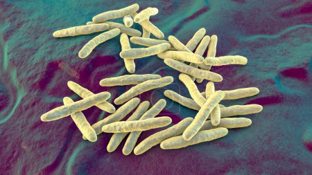 Bacterias Mycobacterium tuberculosis, el agente causal de la tuberculosis, ilustración 3D, se puede utilizar para M. leprae, complejo de M. avium y otras micobacterias
