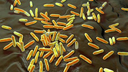 Foto de Bacterias Cardiobacterium hominis, ilustración 3D. Bacteria gramnegativa normalmente presente en la boca, nariz y garganta y puede ser la causa de la endocarditis. - Imagen libre de derechos
