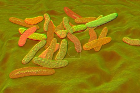 Téléchargez les photos : Pseudoalteromonas tetraodonis, illustration 3D. Bactéries marines vivant dans la boue superficielle du poisson-globe et sécrétant neurotoxine, tétrodotoxine. - en image libre de droit