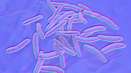 Foto de Pseudoalteromonas tetraodonis bacteria, ilustración 3D. Bacterias marinas que viven en el limo superficial del pez globo y secretan neurotoxina, tetrodotoxina. - Imagen libre de derechos