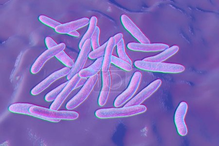 Photo for Pseudoalteromonas tetraodonis bacteria, 3D illustration. Marine bacteria living in surface slime of the puffer fish and secreting neurotoxin, tetrodotoxin. - Royalty Free Image
