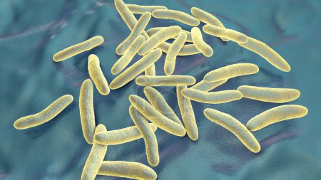 Foto de Pseudoalteromonas tetraodonis bacteria, ilustración 3D. Bacterias marinas que viven en el limo superficial del pez globo y secretan neurotoxina, tetrodotoxina. - Imagen libre de derechos