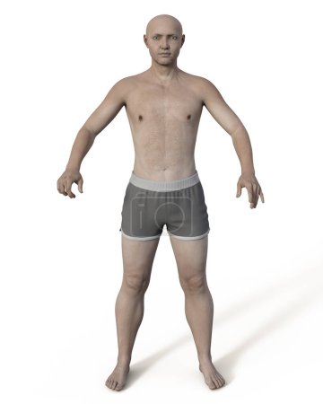 Téléchargez les photos : Normal weight man isolated on white background, 3D illustration - en image libre de droit