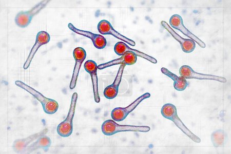 Photo for Clostridium tetani bacteria, the causative agent of tetanus, 3D illustration in sketch style - Royalty Free Image