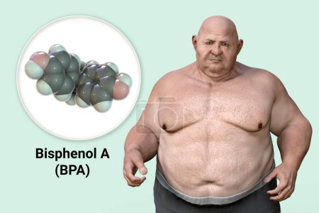 Association between plastic compounds and obesity, conceptual 3D illustration showing BPA molecule present in plastic bottles and gaining weight in a person as a result of metabolic disorders