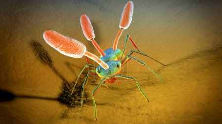 Téléchargez les photos : Champignon parasite Cordyceps croissant sur une fourmi, également connu sous le nom de champignon zombie-ant, illustration 3D. - en image libre de droit