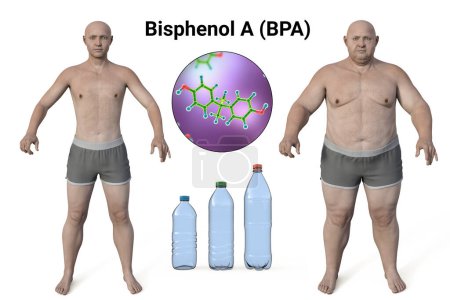 Photo for Association between plastic compounds and obesity, conceptual 3D illustration showing BPA molecule present in plastic bottles and gaining weight in a person as a result of metabolic disorders - Royalty Free Image