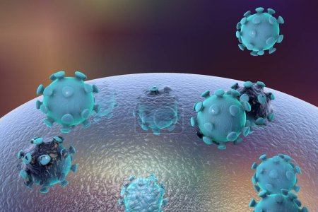 Foto de Liberación de virus de células humanas o animales, ilustración 3D. Contexto científico - Imagen libre de derechos