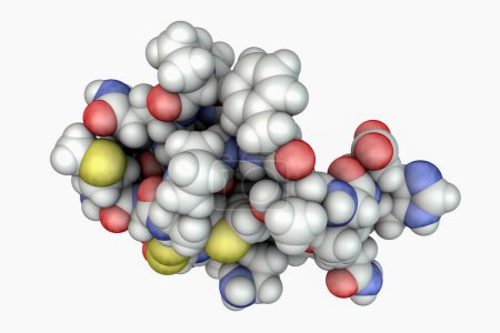 Téléchargez les photos : Molécule de chlorotoxine scorpion, illustration 3D. Un peptide du venin du scorpion Leiurus quinquestriatus, un calmant mortel, étudié comme agent anticancéreux potentiel pour le traitement du gliome du cancer du cerveau - en image libre de droit
