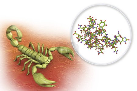 Téléchargez les photos : Molécule de chlorotoxine scorpion, illustration 3D. Un peptide du venin du scorpion Leiurus quinquestriatus, un calmant mortel, étudié comme agent anticancéreux potentiel pour le traitement du gliome du cancer du cerveau - en image libre de droit