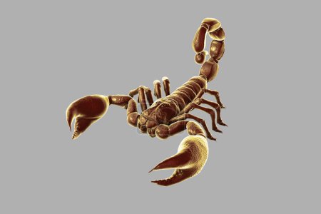 Téléchargez les photos : Scorpion isolé sur fond gris, illustration 3D réaliste - en image libre de droit