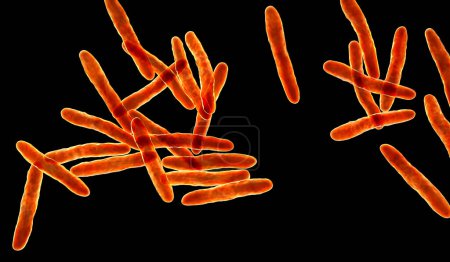 Photo for Mycobacterium ulcerans, 3D illustration. The causative agent of Buruli ulcer, a chronic debilitating disease affecting skin and subcutaneous tissues found mainly in tropical and subtropical countries - Royalty Free Image