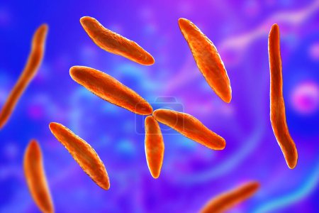 Foto de Ustilago maydis, a fungal pathogen affecting corn plants, 3D illustration. Has been found in case of dermatitis in humans, also in leptomeningitis, peritonitis and bloodstream infections - Imagen libre de derechos