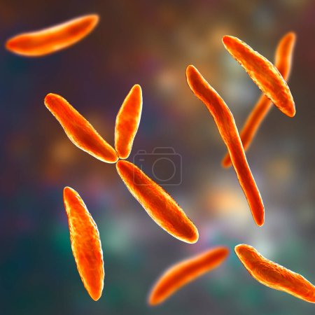 Photo for Ustilago maydis, a fungal pathogen affecting corn plants, 3D illustration. Has been found in case of dermatitis in humans, also in leptomeningitis, peritonitis and bloodstream infections - Royalty Free Image