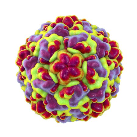 Photo for Rhinovirus isolated on white background, the virus that causes common cold and rhinitis, 3D illustration - Royalty Free Image