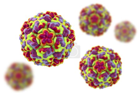 Foto de Rhinovirus aislado sobre fondo blanco, el virus que causa el resfriado común y la rinitis, ilustración 3D - Imagen libre de derechos