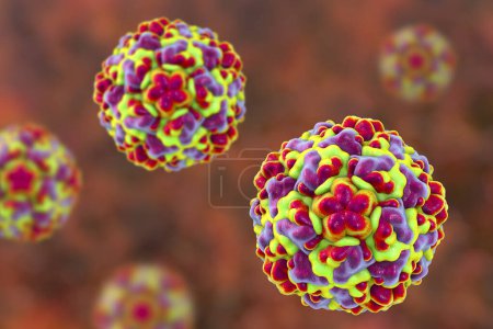Foto de Modelo molecular de rinovirus, el virus que causa el resfriado común y la rinitis, ilustración 3D - Imagen libre de derechos