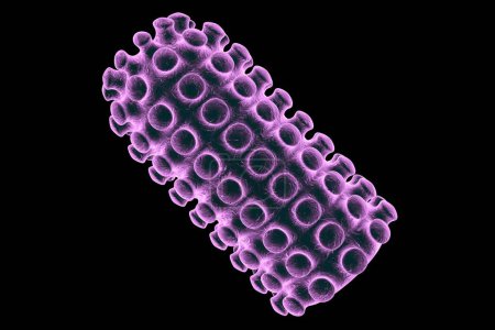Photo for Rabies virus isolated on black background, 3D illustration. Virus which causes rabies - Royalty Free Image