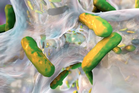 Téléchargez les photos : Biofilm of antibiotic resistant bacteria Pseudomonas aeruginosa. 3D illustration - en image libre de droit