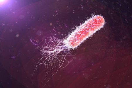 Photo for Bacterium Pseudomonas aeruginosa on colorful background, antibiotic-resistant nosocomial bacterium, 3D illustration. Illustration shows polar location of flagella and presence of pili on the bacterial surface - Royalty Free Image