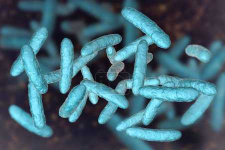 Foto de Bacterias probióticas, microbiota intestinal normal, ilustración 3D. Bacterias utilizadas como tratamiento probiótico, yogures, alimentos saludables - Imagen libre de derechos