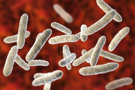 Foto de Bacterias probióticas, microflora intestinal normal, ilustración 3D. Bacterias utilizadas como tratamiento probiótico, yogures, alimentos saludables - Imagen libre de derechos