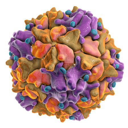 Téléchargez les photos : Poliovirus isolé sur fond blanc. Virus transmis par l'eau potable et causant la polio. Illustration 3D - en image libre de droit