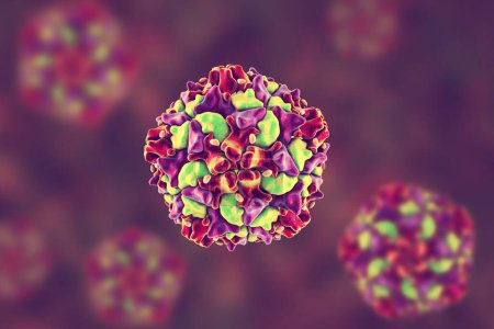 Photo for Poliovirus, an RNA virus from Picornaviridae family that causes polio disease, 3D illustration - Royalty Free Image