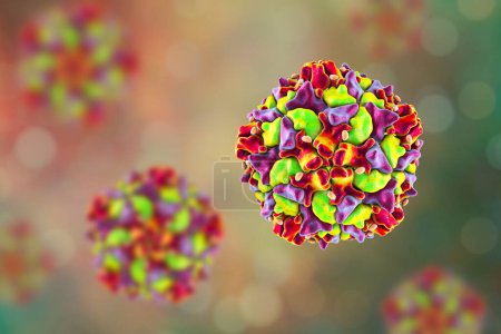 Photo for Poliovirus, an RNA virus from Picornaviridae family that causes polio disease, 3D illustration - Royalty Free Image