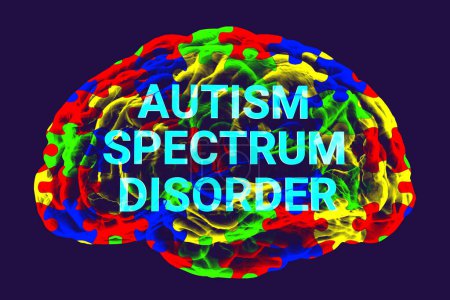 Foto de Texto Trastorno del espectro autista dentro del modelo del cerebro humano, con colorido patrón de rompecabezas en su superficie, haciendo hincapié en la base neurológica y la diversidad del espectro autista, ilustración 3D - Imagen libre de derechos