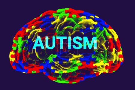 Photo for Text Autism inside the anatomical model of a human brain, with a colorful puzzle pattern on its surface, emphasizing the neurological basis and the diversity of the autism spectrum, 3D illustration - Royalty Free Image