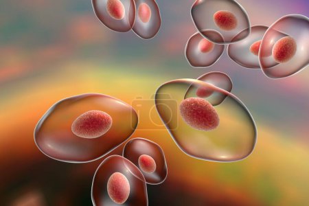Foto de Pneumocystis jirovecii, anteriormente llamado Pneumocystis carinii, hongo oportunista que causa neumonía en pacientes con VIH, ilustración 3D - Imagen libre de derechos