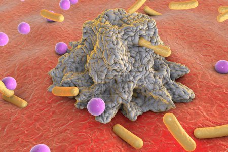 Foto de Fagocitosis. Macrofagos que engullen bacterias de diferentes formas, ilustración 3D - Imagen libre de derechos